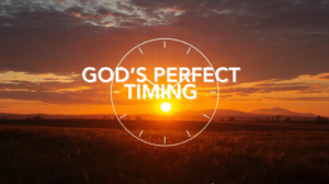 the wisdom of god’s perfect timing